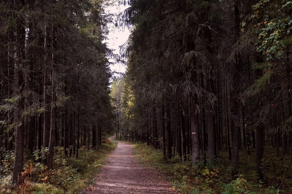 Photograph by Ольга Березовская