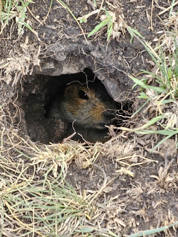 Photograph by Вадим Богатиков