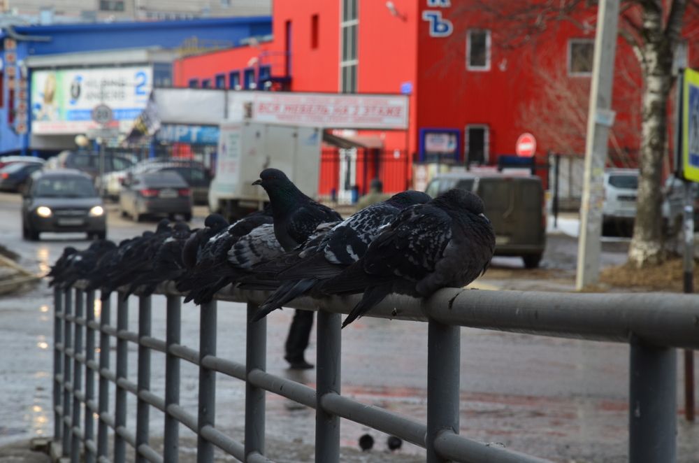 Photograph by Valentina