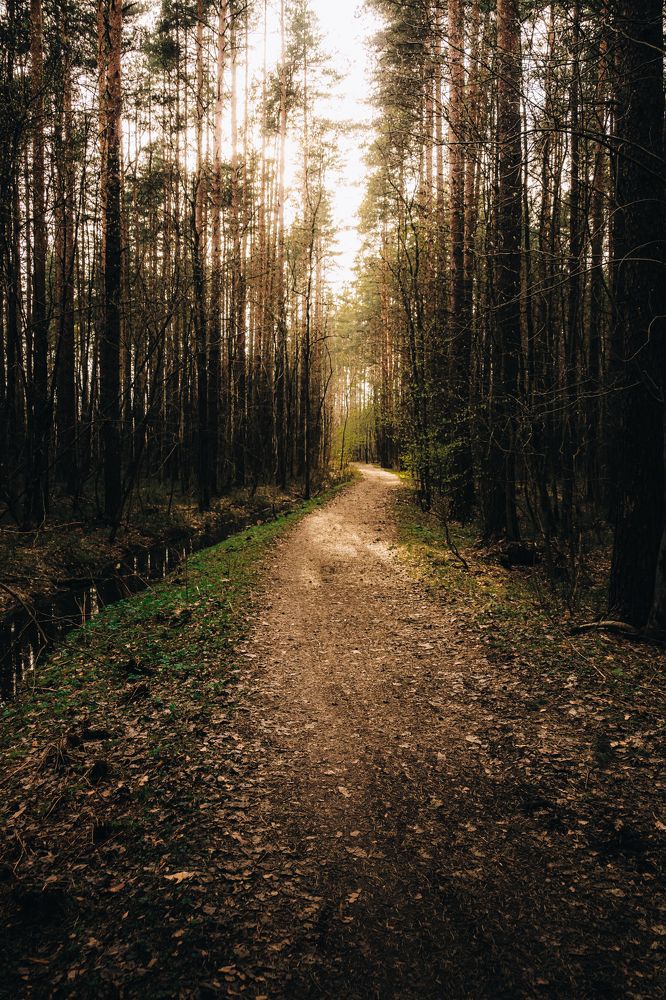 Фотография автора Павел Арсеев