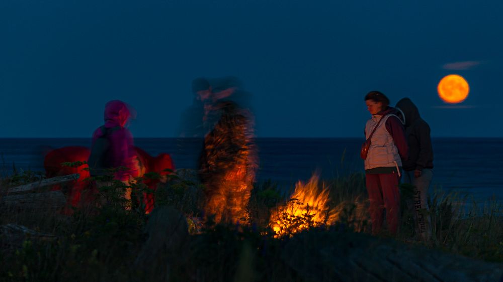 Фотография автора Александр Довганюк