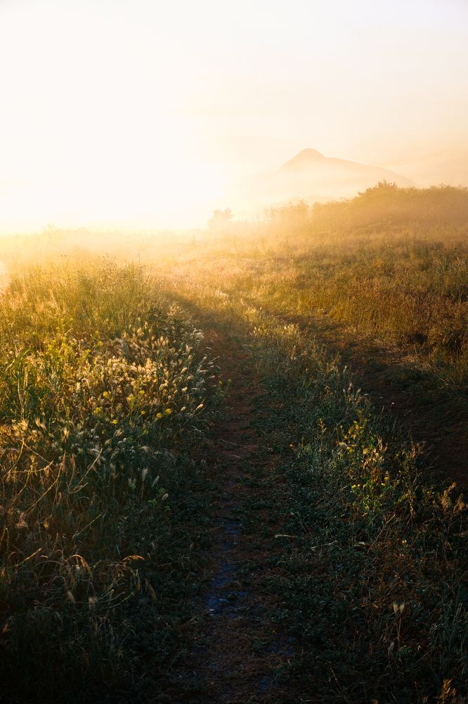 Фотография автора Павел Арсеев