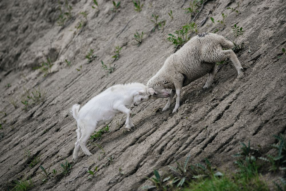 Photograph by Мария Раздорова