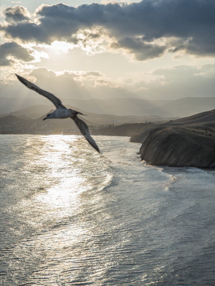 Photograph by Сергей Лексин