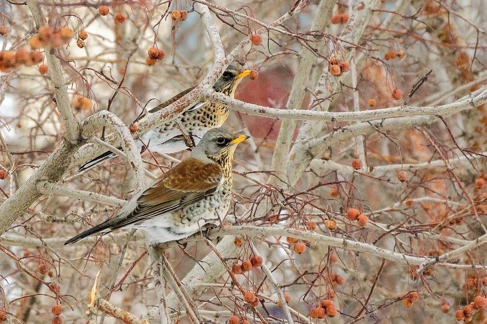 Photograph by Ильдар Валитов