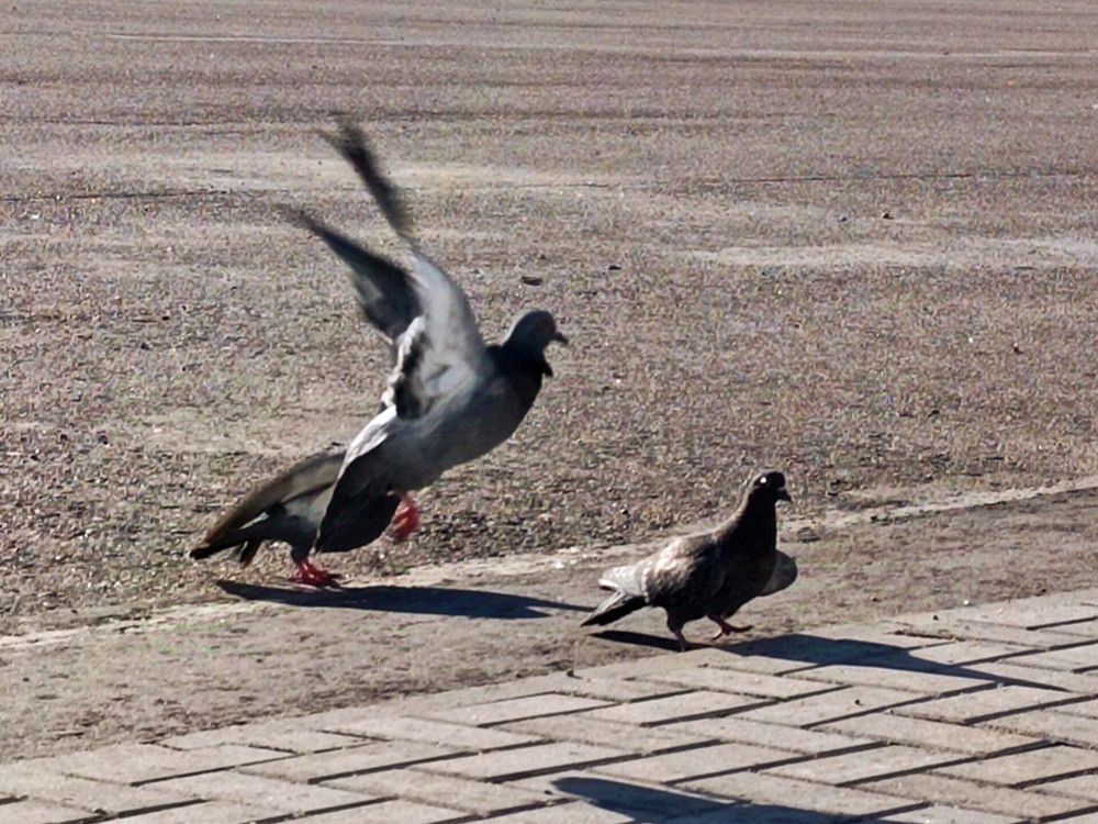 Photograph by Наталья Москвина