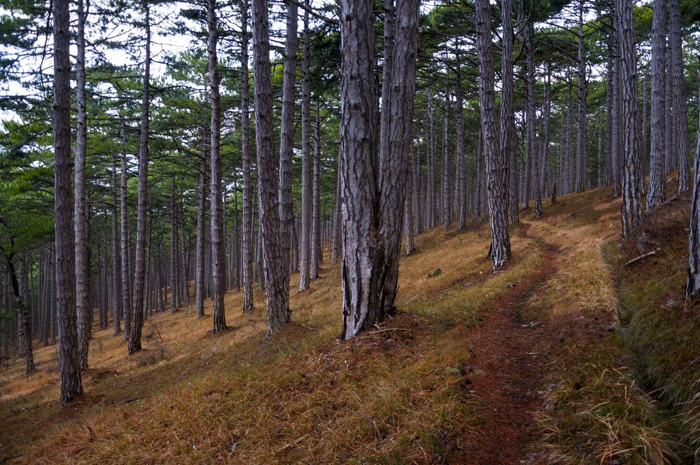 Photograph by Будаква Сергей