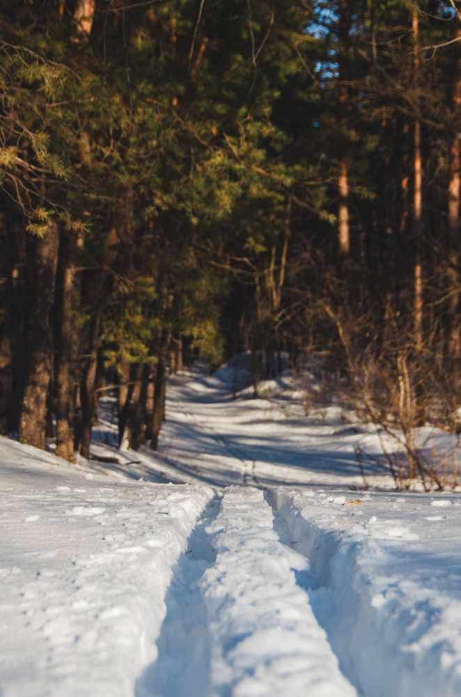 Photograph by Ирина Назарова