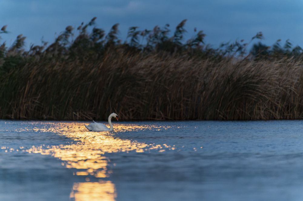 Photograph by Razvan Iliescu