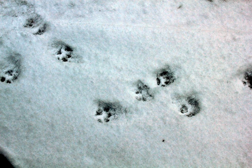 Photograph by Olga Bagaeva