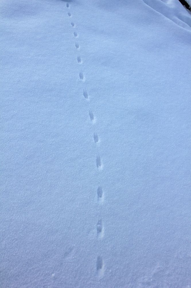 Photograph by Olga Bagaeva