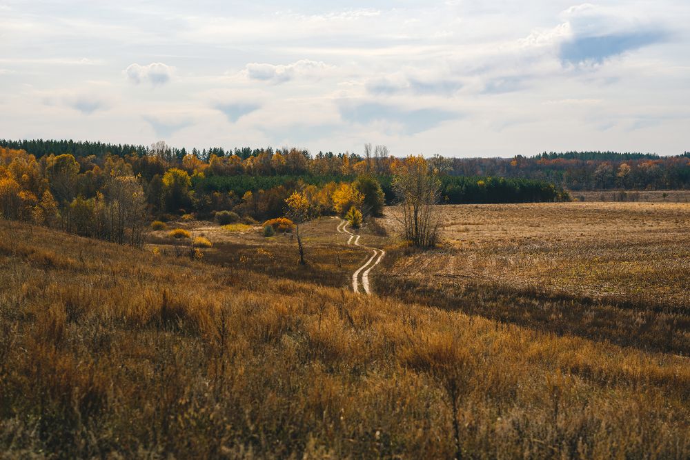 Photograph by Ирина Назарова
