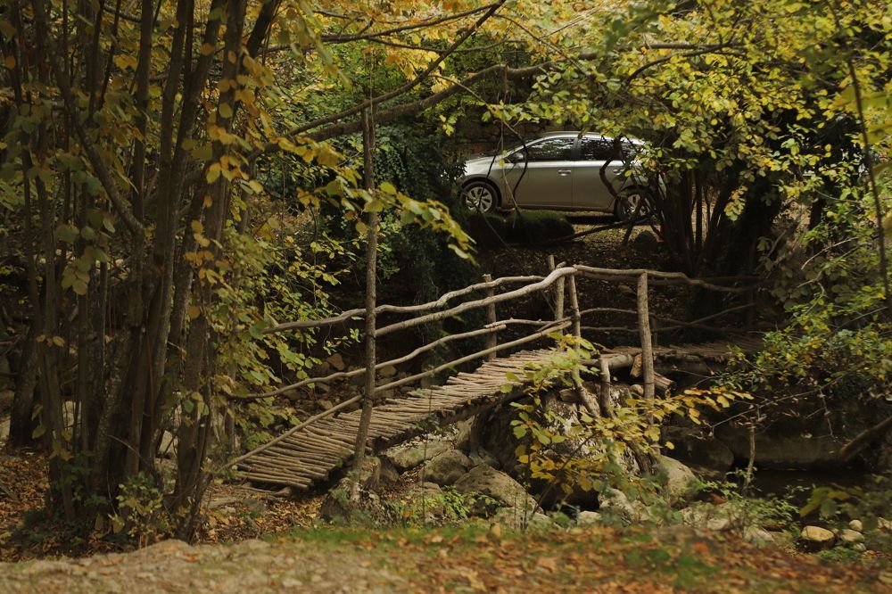 Photograph by Карина Кириченко