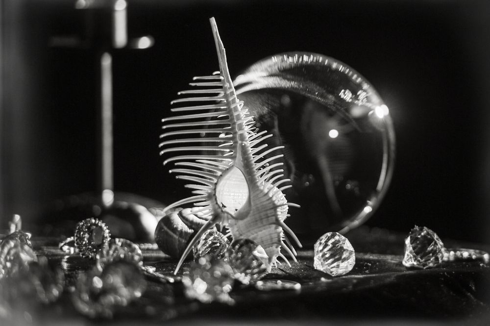 Photograph by Анатолий Васильев