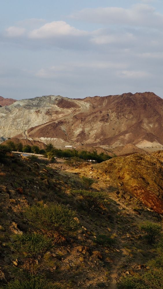 Фотография автора Sarrah Yehia