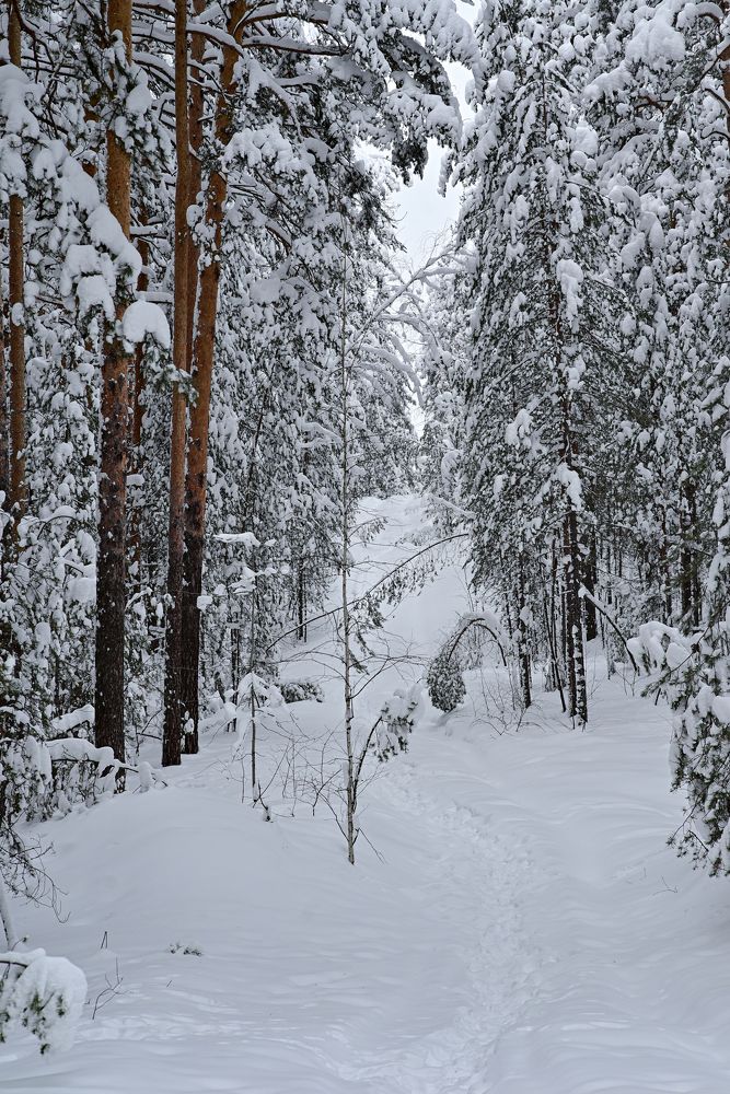 Photograph by Юлия Козельских