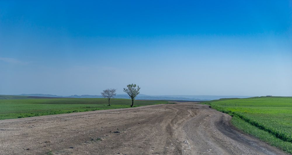 Фотография автора Pavel Bernshtam