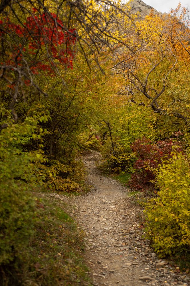Photograph by Карина Кириченко
