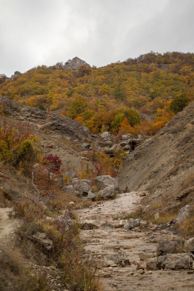 Photograph by Карина Кириченко