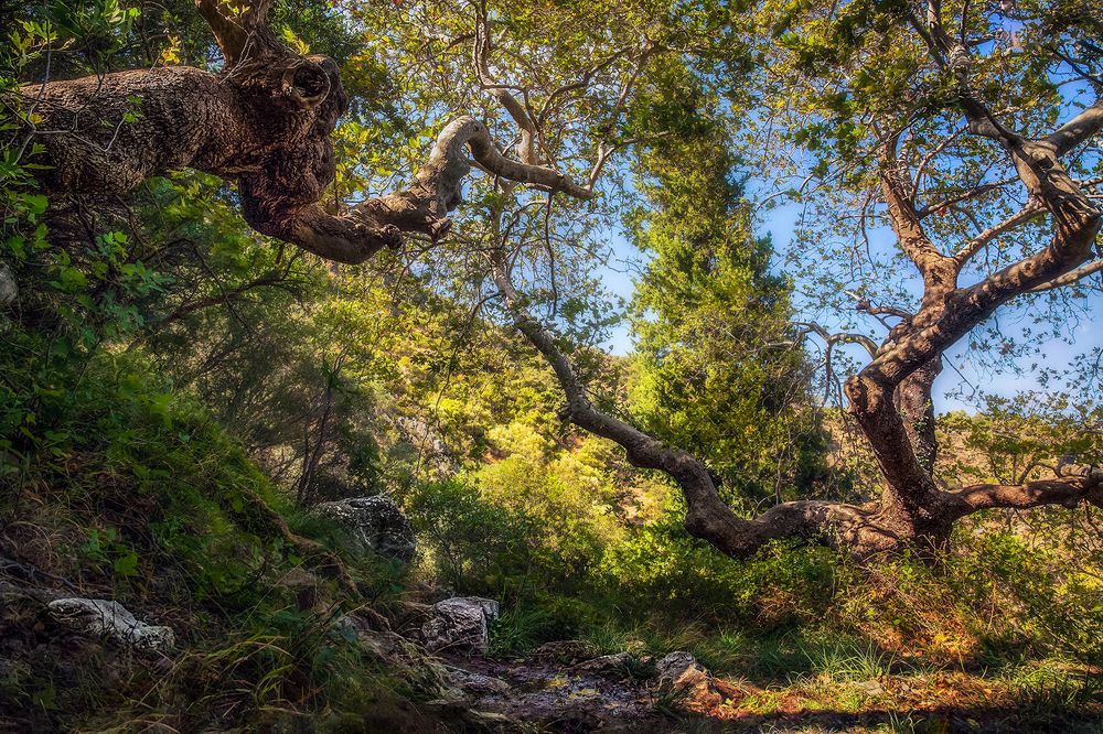 Photograph by Марина Ческис