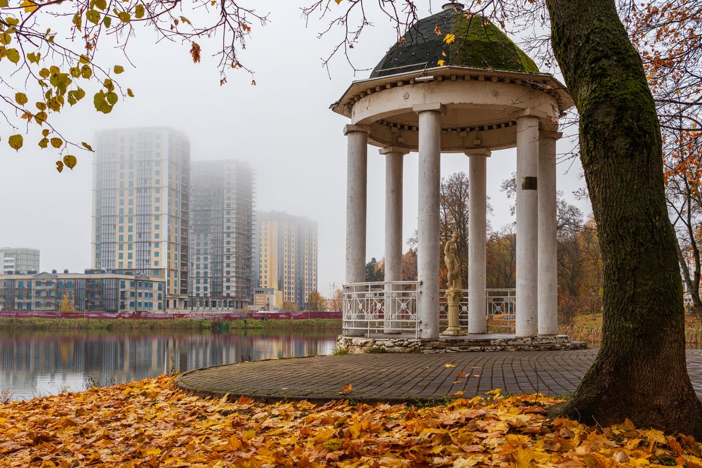 Photograph by Александр Корженков