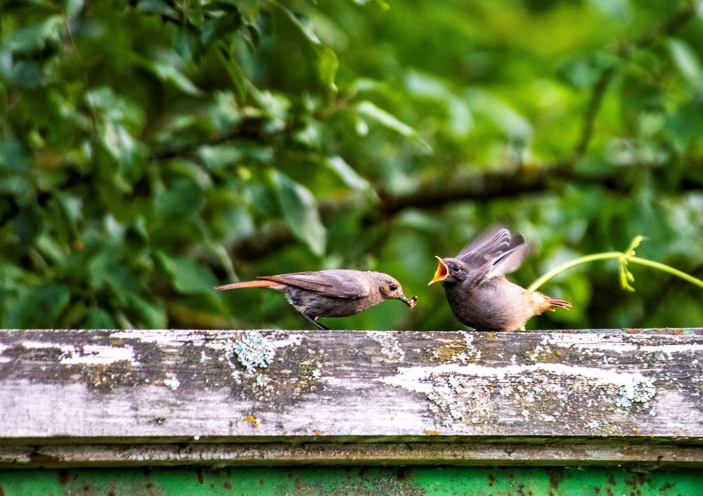 Photograph by Сиваков Алексей