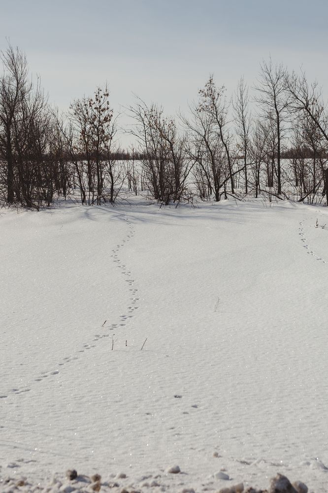 Photograph by Ирина Назарова