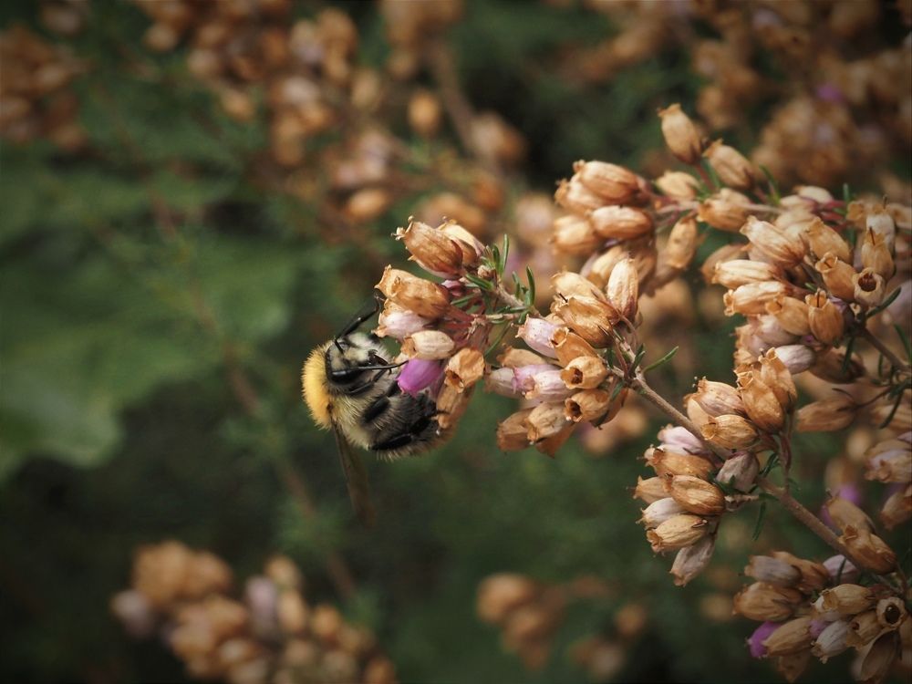 Photograph by Александра Шилова