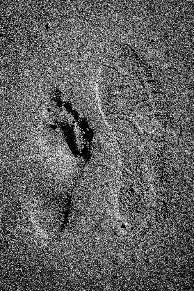 Толерантность