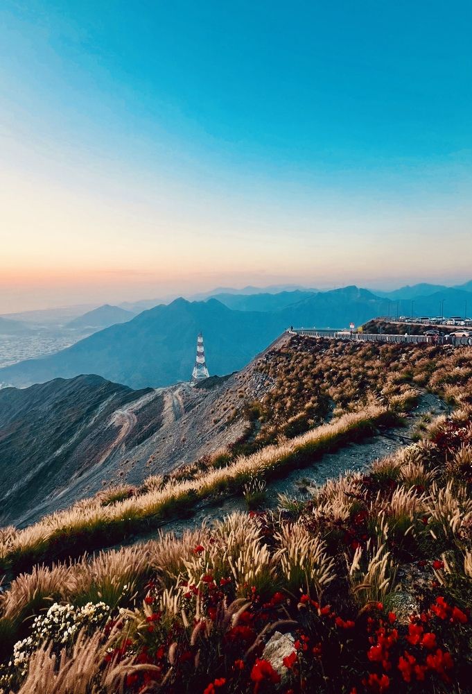 Фотография автора Sarrah Yehia