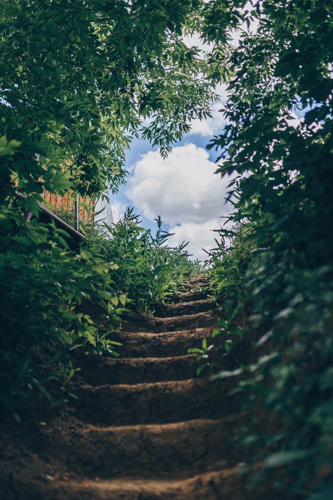 Photograph by Ирина Назарова