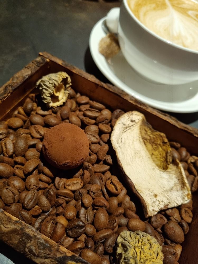 Фотография автора Наталья Агапова