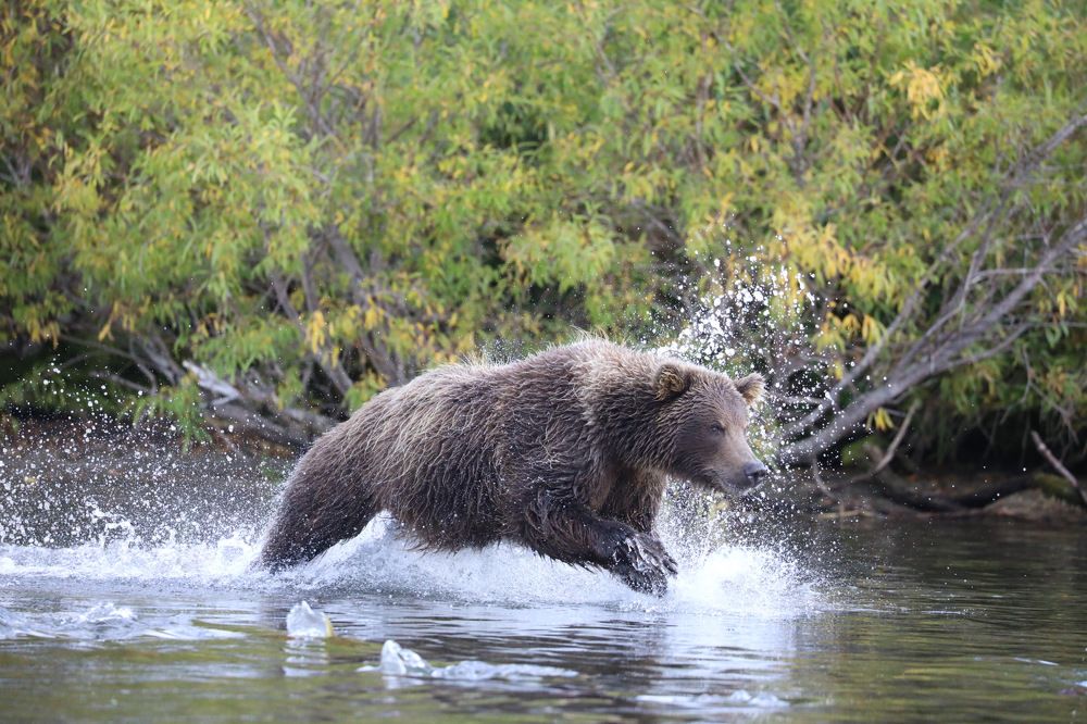 Photograph by Ольга Одаренко