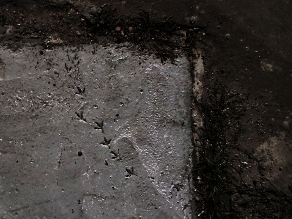 Photograph by Калюнова Наталья