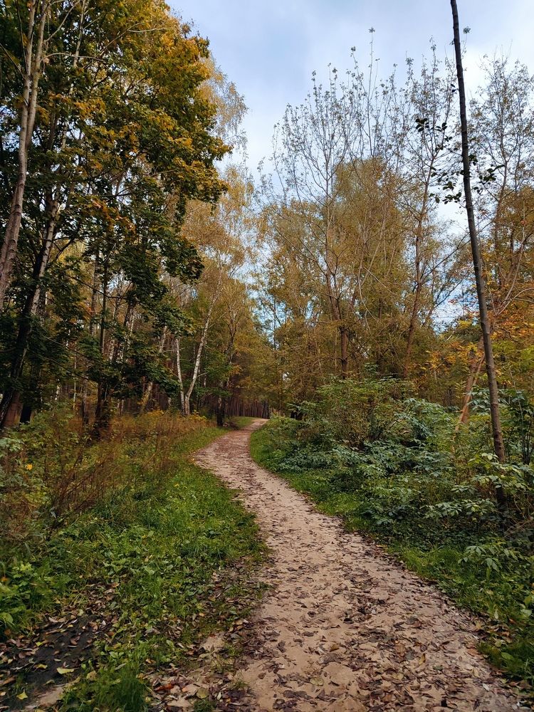 Photograph by Ирина Половцева