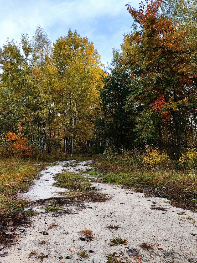 Photograph by Ирина Половцева