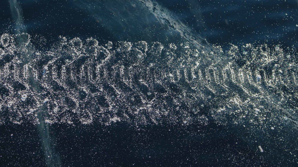 Фотография автора Александр Довганюк