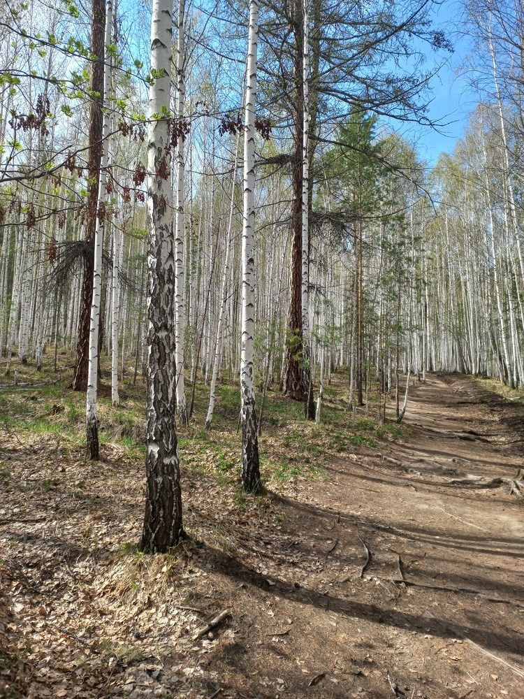 Photograph by Светлана Крон