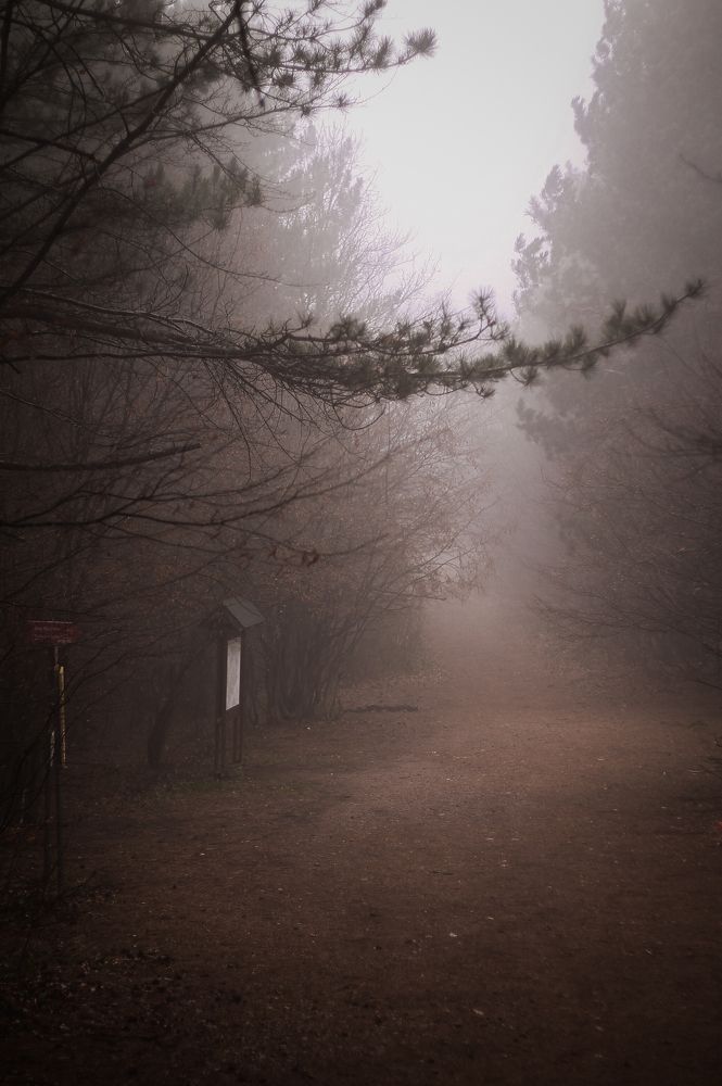 Photograph by evgeniy