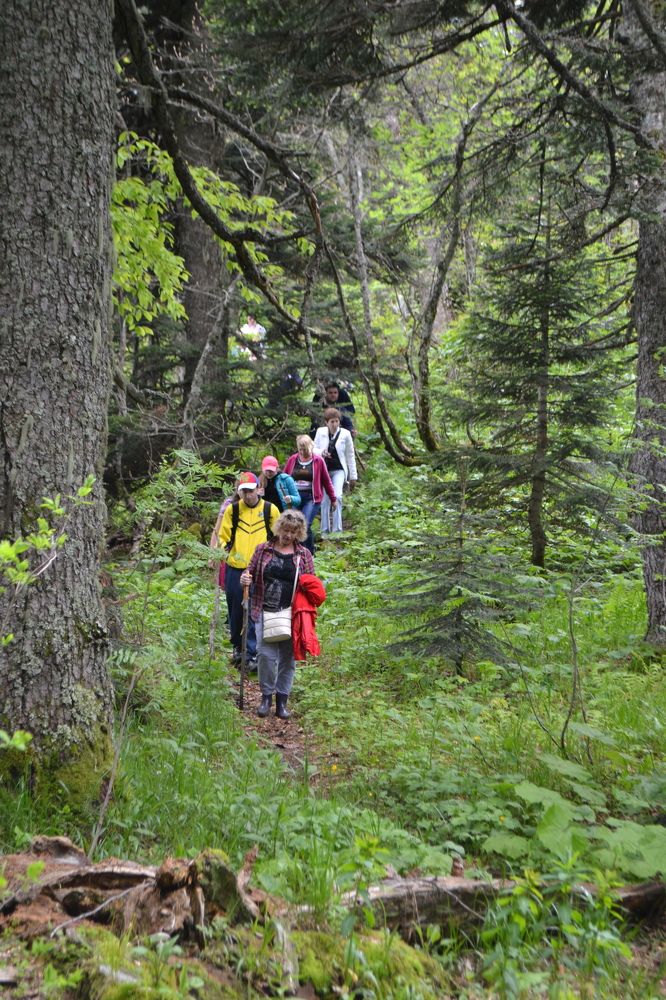 Photograph by Надежда Чаплынская