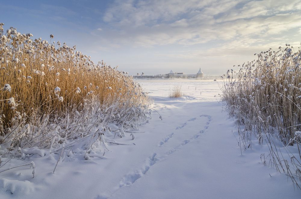 Photograph by Марина Терещенко