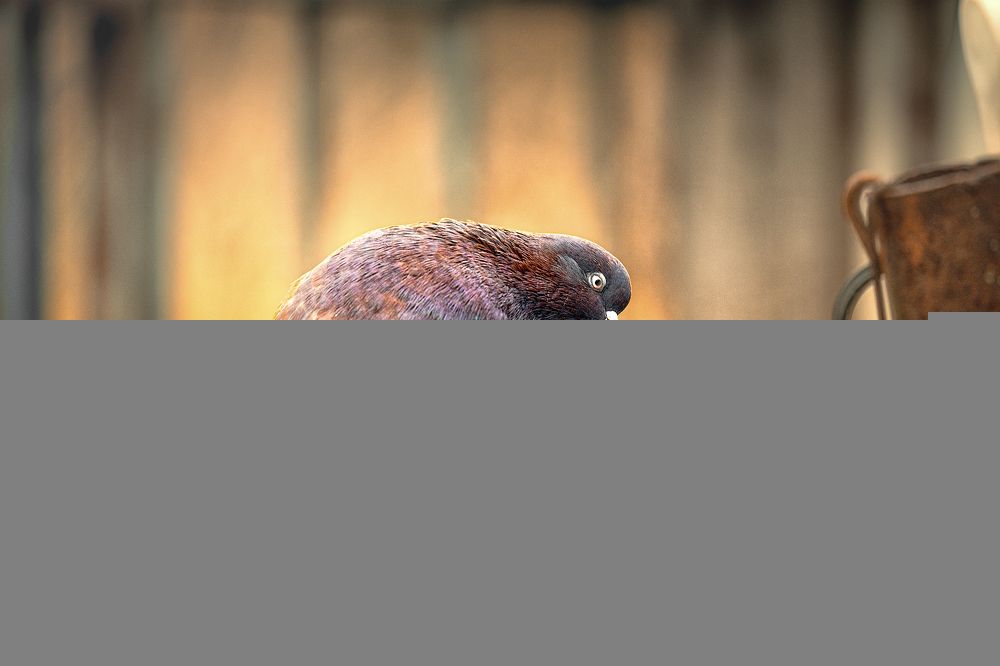 Photograph by Aleksandr Solovev