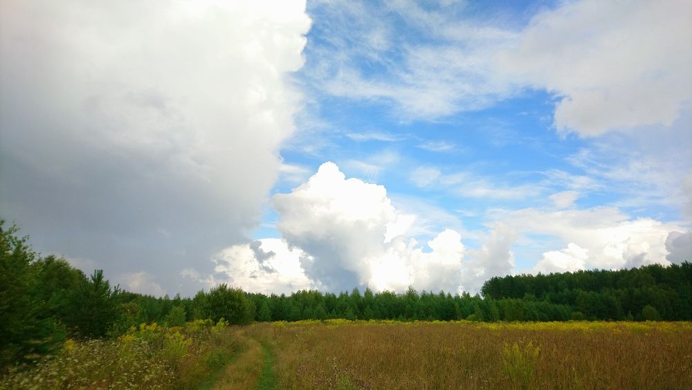 Photograph by Инна Голубева