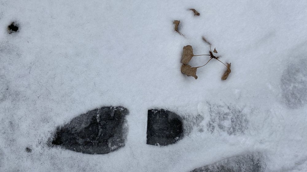 Photograph by Сергей Смирнов