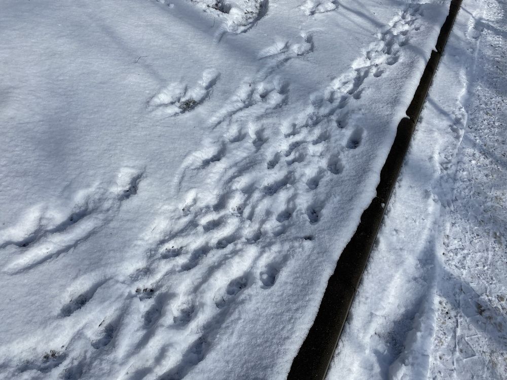 Photograph by Сергей Смирнов