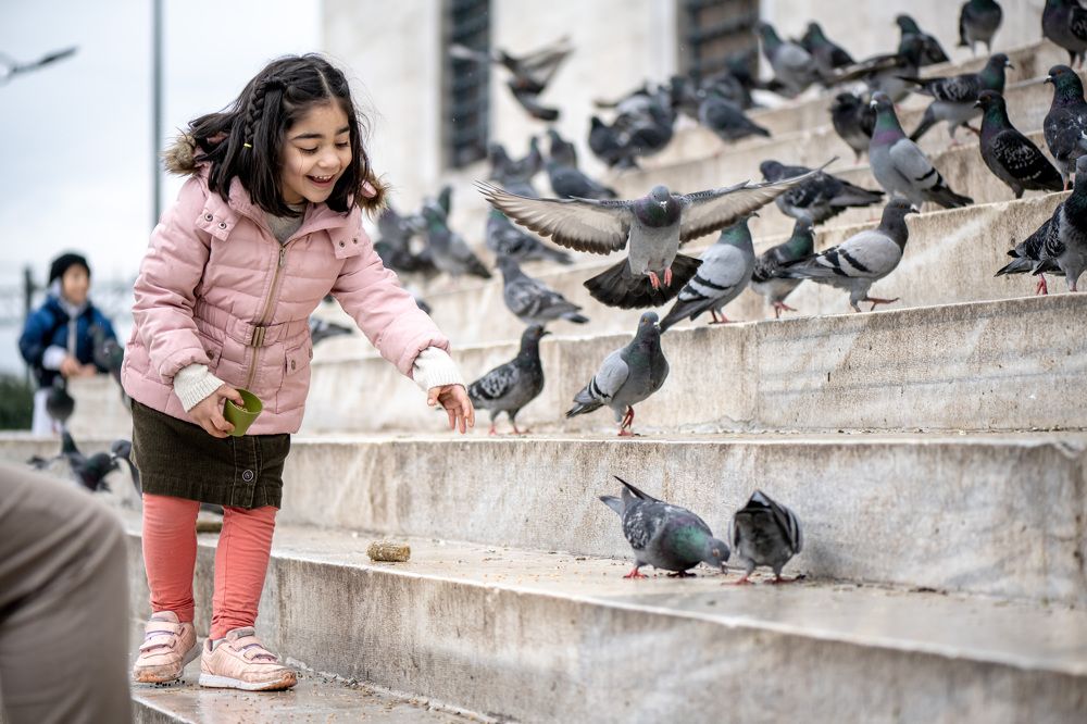 Фотография автора Ахмат Байсиев