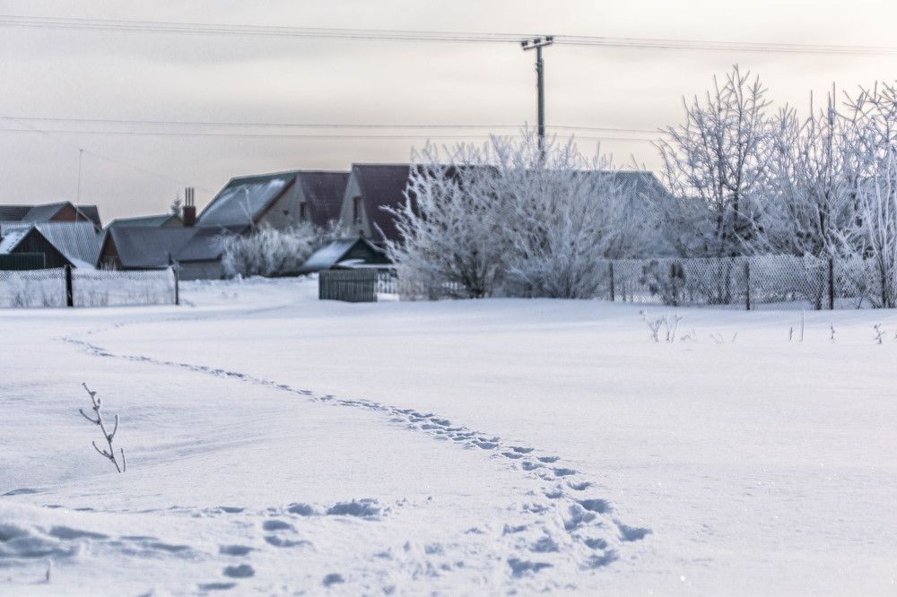 Photograph by Людмила Прибылова