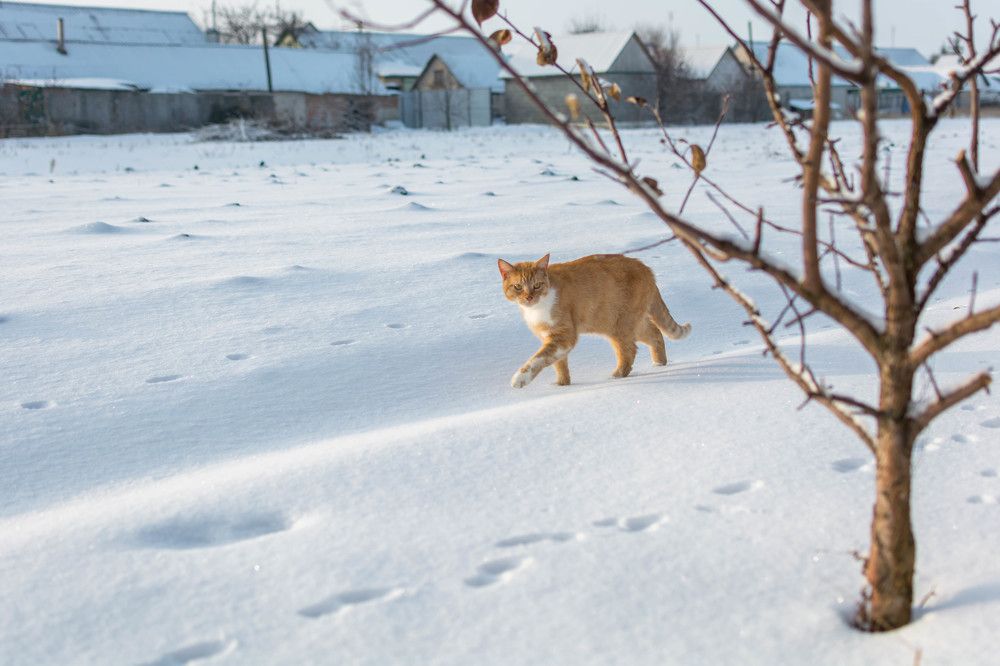 Photograph by Людмила Прибылова