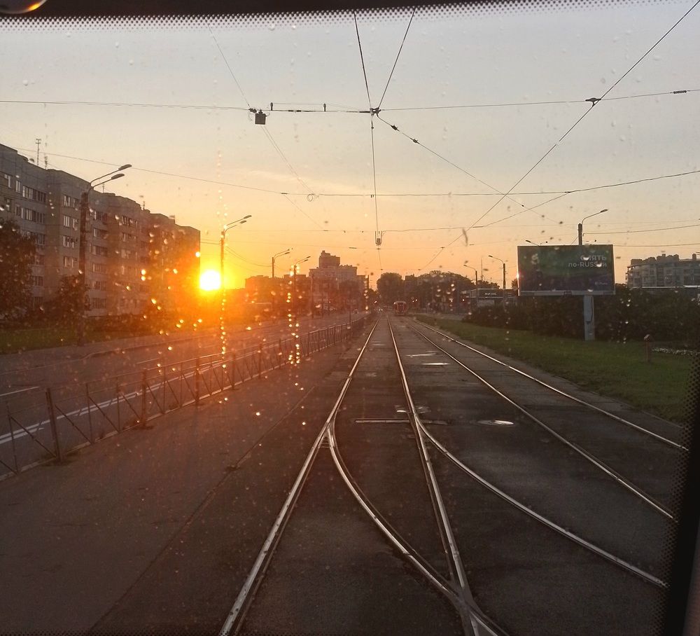 Photo #11254175