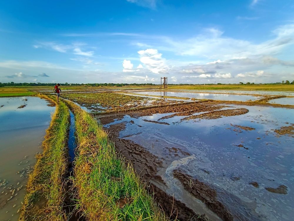 Photograph by Souradip Dey